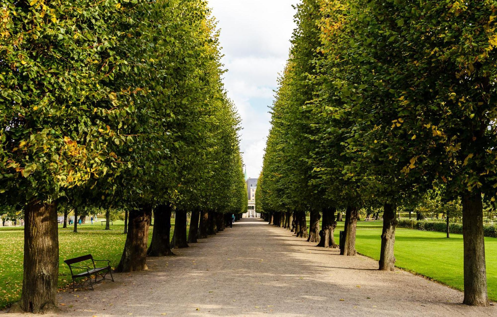 Luxury 'Kings Garden View' 260M2 Prime Located Flat Apartment Copenhagen Luaran gambar